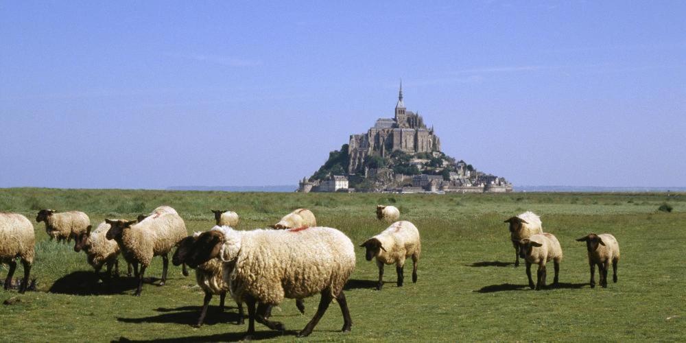 Chambres D'Hotes Avec Piscine Aux Agapanthes De Cromel - Mont Saint Michel Dış mekan fotoğraf